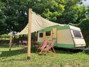 Koppány Pines - Glampavan